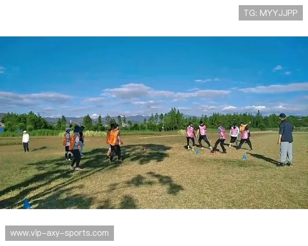 飞盘战术揭秘：深圳飞盘队如何运用区域防守策略提升比赛胜率